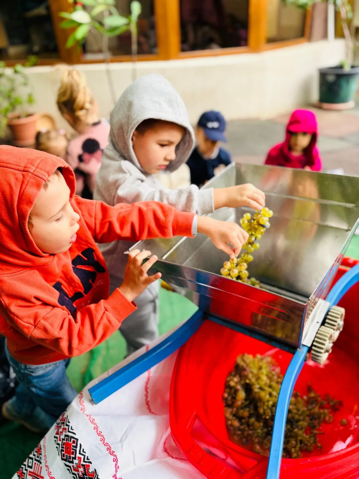 Grădinița RayKids Cârcea (Selgros) — activități în natură