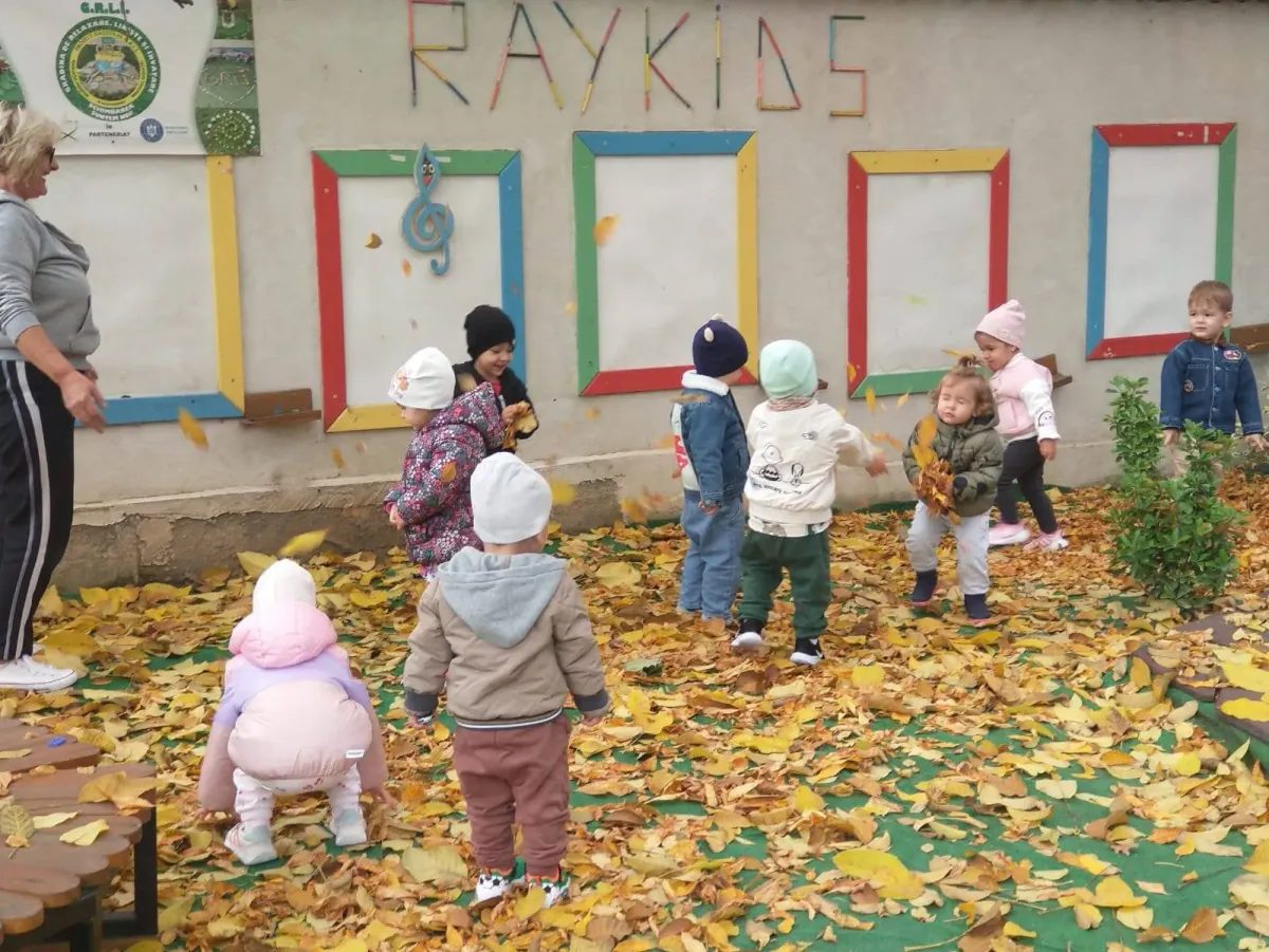 Grădinița RayKids Cârcea (Selgros) — spații verzi