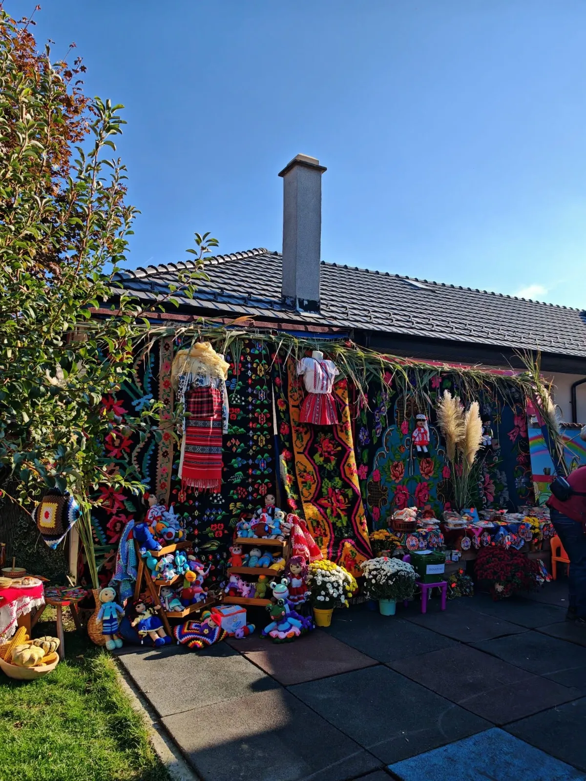 Grădinița RayKids Cârcea (Selgros) — spații verzi