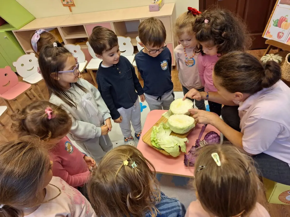 Grădinița RayKids Cârcea (Selgros) — grupă mică în natură