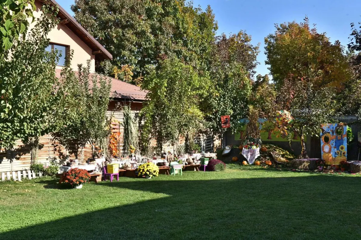 Grădinița RayKids Cârcea (Selgros) — joacă în natură