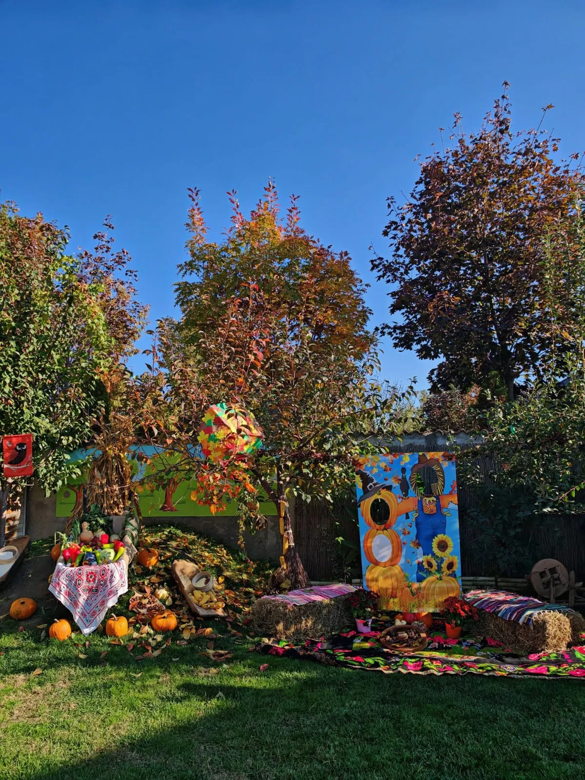 Grădinița RayKids Cârcea (Selgros) — activități outdoor