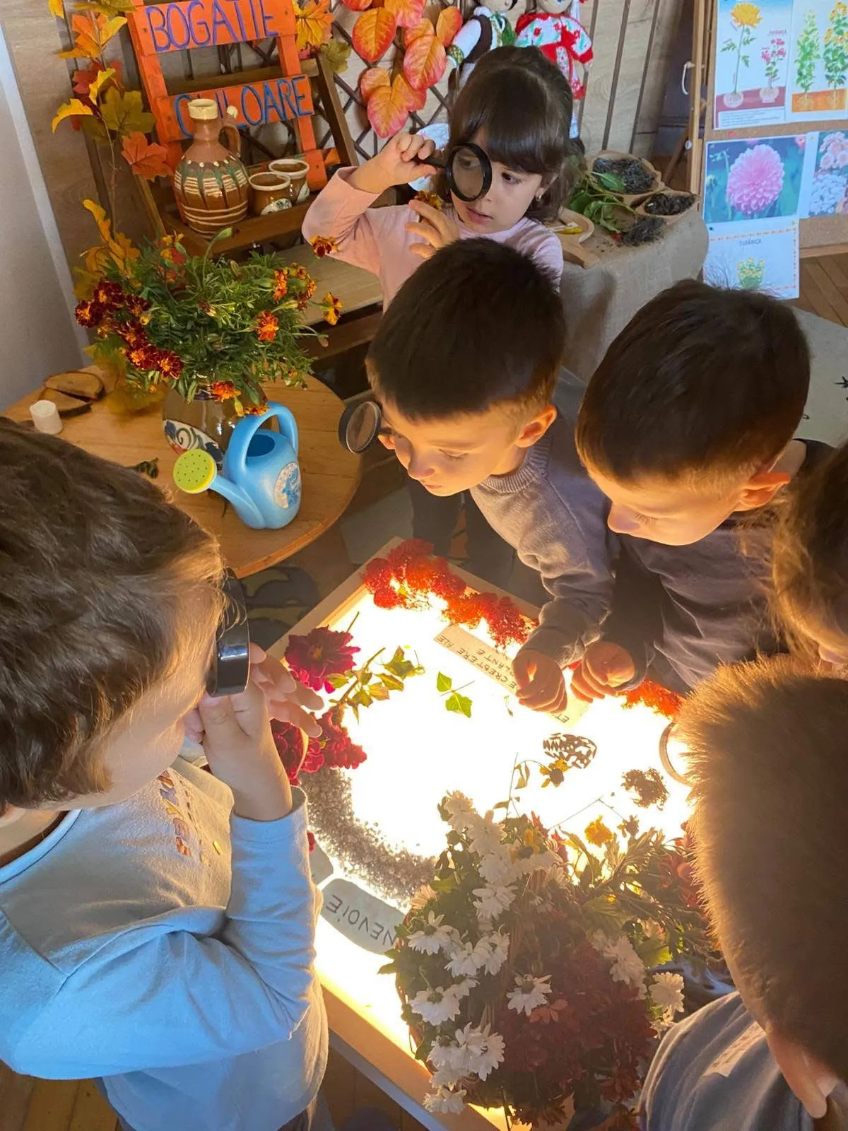 Grădinița RayKids Cârcea (Selgros) — spații verzi