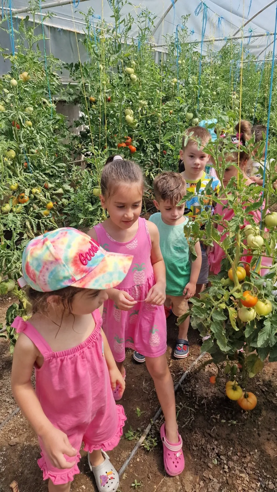 Grădinița RayKids Craiova — spațiu de joacă interior