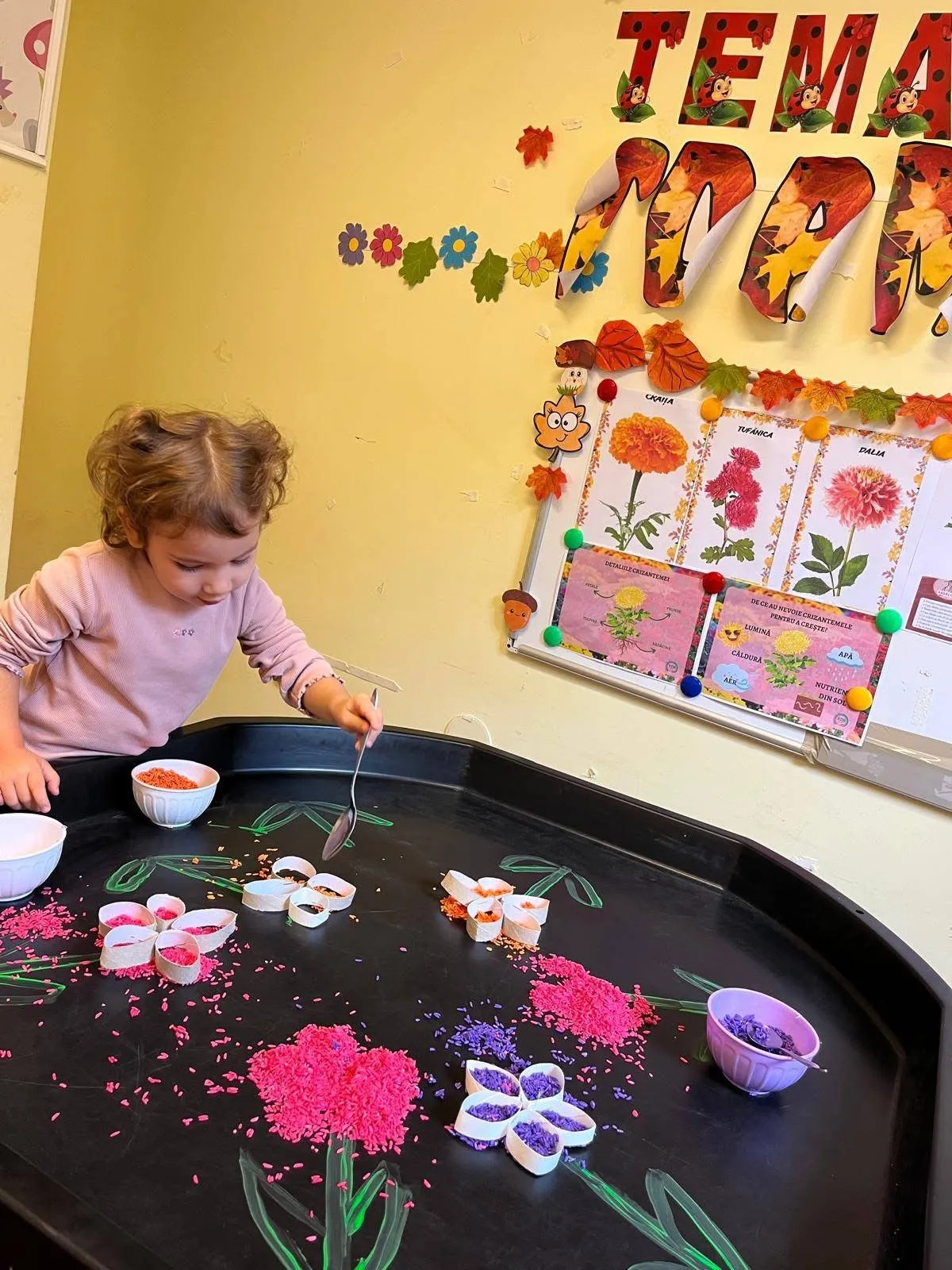 Grădinița RayKids Craiova — activități Montessori
